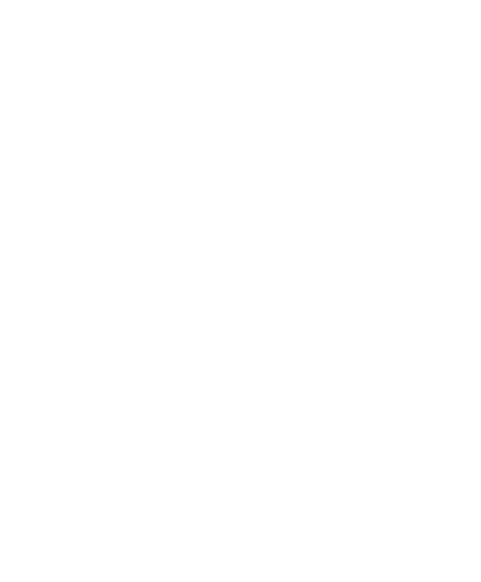 violatravelandtours